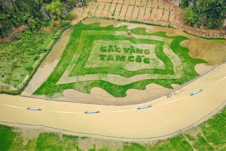 Nature as your canvas